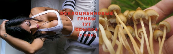 бошки Володарск