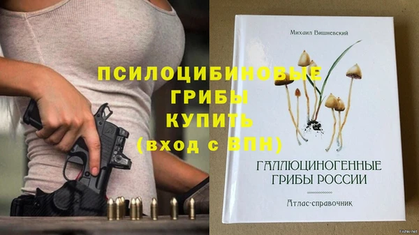 бошки Володарск