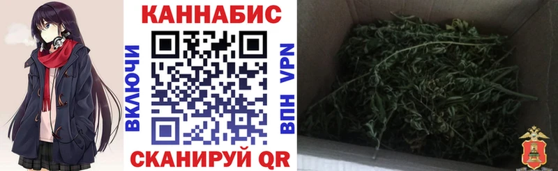 Шишки марихуана планчик Нижний Новгород